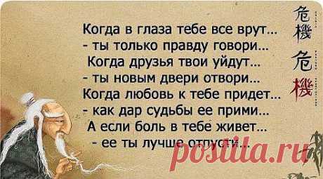 (50) Одноклассники