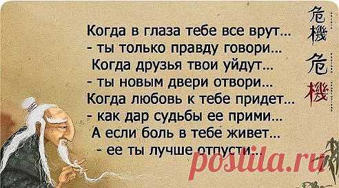 (50) Одноклассники
