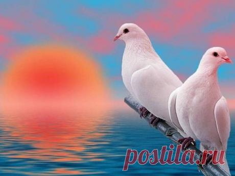 Сергей Степочкин - в Кругу Друзей - социальная сеть