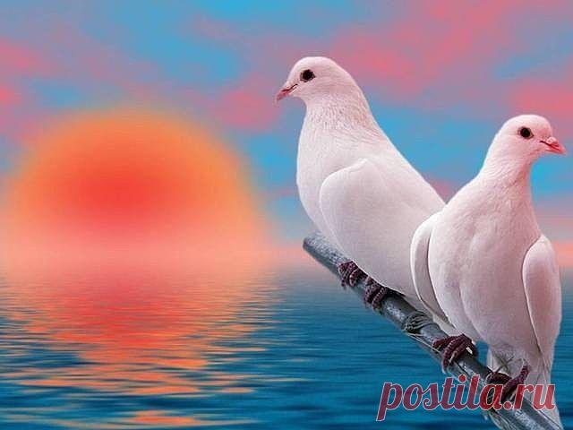 Сергей Степочкин - в Кругу Друзей - социальная сеть