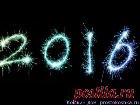 Приметы на Високосный год 2016 | Кошкин дом