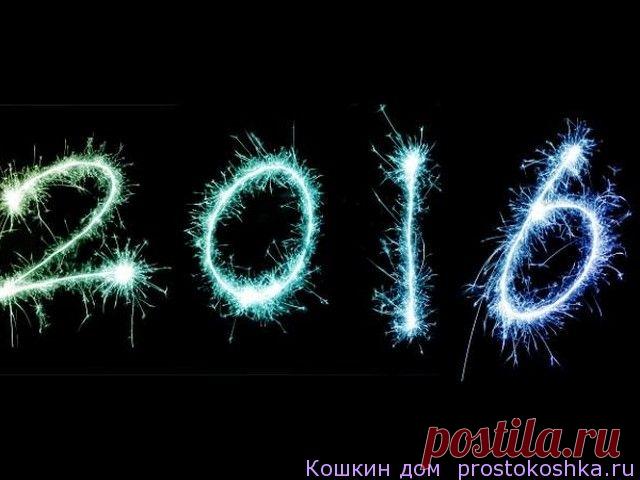 Приметы на Високосный год 2016 | Кошкин дом