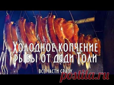 ХОЛОДНОЕ КОПЧЕНИЕ РЫБЫ ОТ ДЯДИ ТОЛИ. ВЕСЬ ПРОЦЕСС ОТ РАЗДЕЛКИ ДО КОПЧЕНКИ