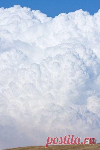 Покорми мозг