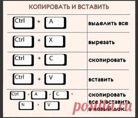 Интересные новости