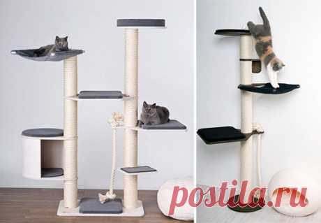 Целая система для кошачьих развлечений | Новости | Animal.ru