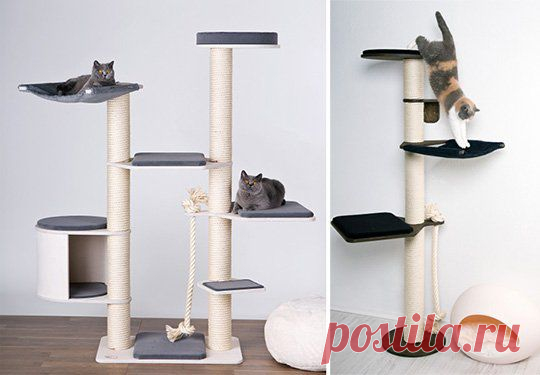 Целая система для кошачьих развлечений | Новости | Animal.ru