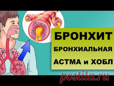 БРОНХИАЛЬНАЯ АСТМА и ХОБЛ. Все о заболеваниях