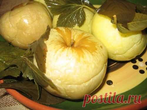 Моченые яблоки: рецепты / Простые рецепты