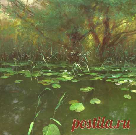 Коробков Денис
"Кувшинки"