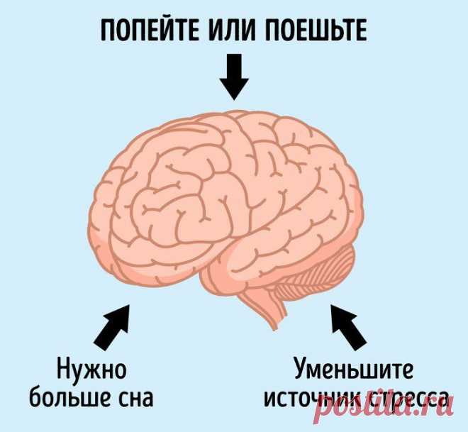 20 коротких лайфхаков, которые решат 80 % ваших проблем  Жизнь — непростая штука, потому и интересная. Но все же здорово было бы исключить из нее некоторые вещи. Например, головную боль в неподходящий момент, соблазн съесть коробку мороженого...