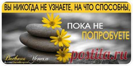 Не бойтесь пробовать!.