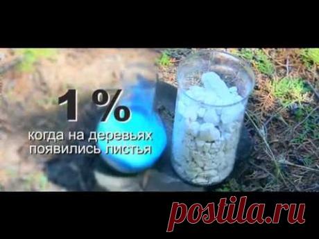 Как приготовить бордоскую жидкость?