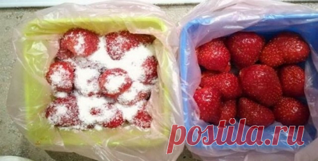 заморозим клубнику