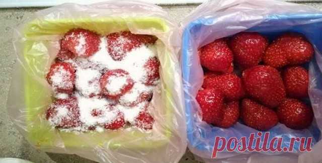 заморозим клубнику