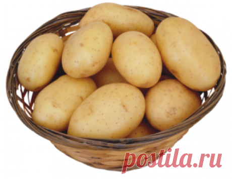 Картофельный сок для желудка - лечение, применение, рецепт, отзывы
