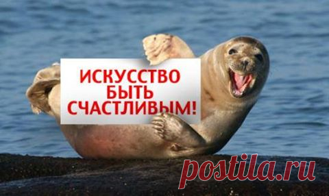 (9) Facebook