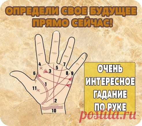 (5) Одноклассники