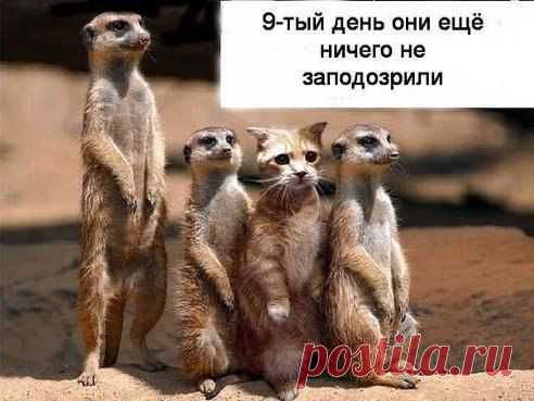 Интересные новости