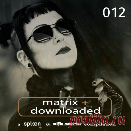 VA - Matrix+ Downloaded 012 (2025)