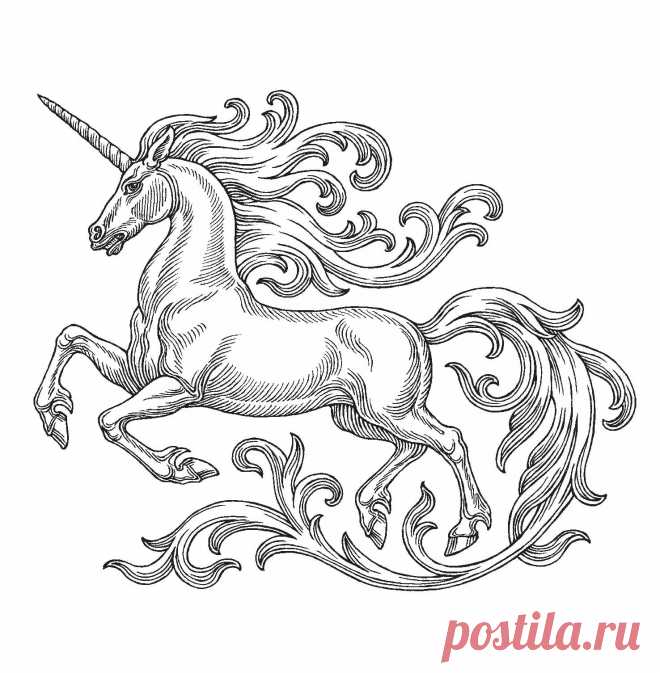 единорог графика черно белая: 11 тыс изображений найдено в Яндекс.Картинках