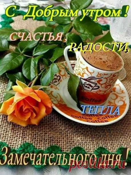 Zinaida Trofimova, Ufa, Russia. Sign in or sign up to contact Zinaida Trofimova or find more of your friends.
