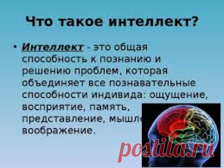 Что же такое интеллект?