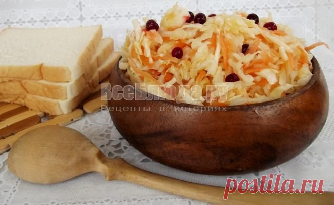 Капуста маринованная быстрого приготовления за 1 день - быстрый рецепт с фото | Все Блюда