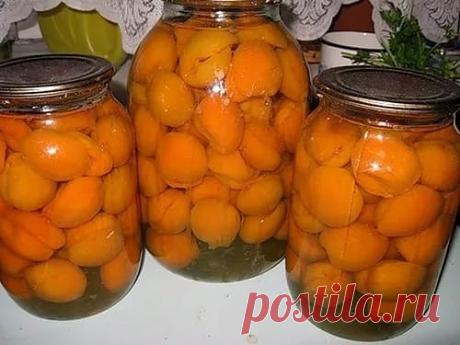 Самые вкусные компоты на зиму. 
Компот из абрикосов
Абрикосы, 1 кг сахара, 1 л воды.
Для приготовления консервированного компота нужно использовать слегка недозрелые плоды с плотной мякотью и неповрежденной кожицей. Мягкие перезрелые плоды при пастеризации развариваются, и компот получается мутным.
Готовить компот можно как из целых абрикосов, так и из половинок. Целые абрикосы следует тщательно перебрать, промыть и удалить плодоножки. Если готовить компот из половинок, то абрикосы н