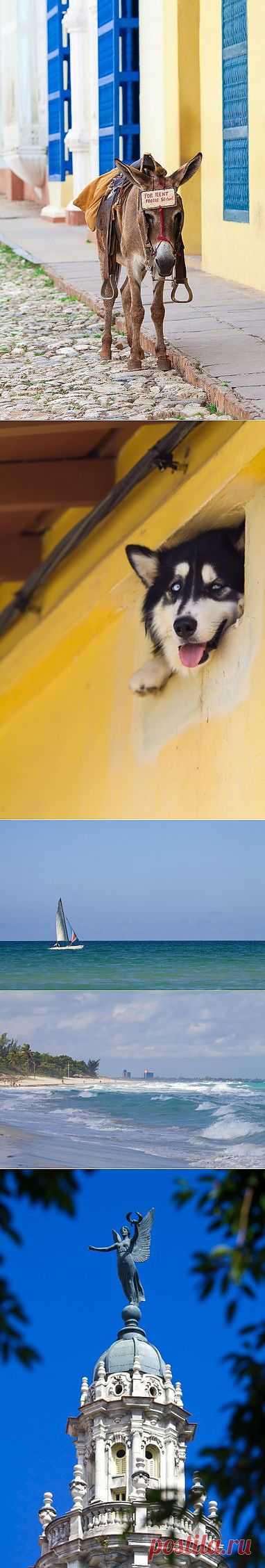 Куба либре / Туристический спутник