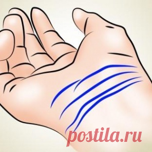 Сколько линий у вас на запястье? 3 или 4? Проверьте и узнайте, что это значит!