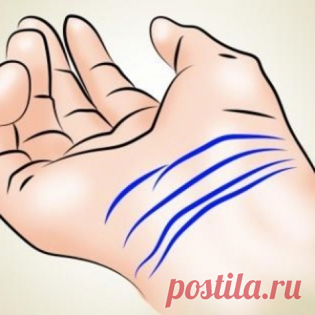 Сколько линий у вас на запястье? 3 или 4? Проверьте и узнайте, что это значит!