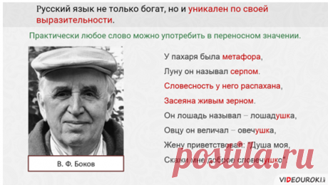 Видеоурок &quot;Русский язык – первоэлемент великой русской литературы&quot; | Русский язык