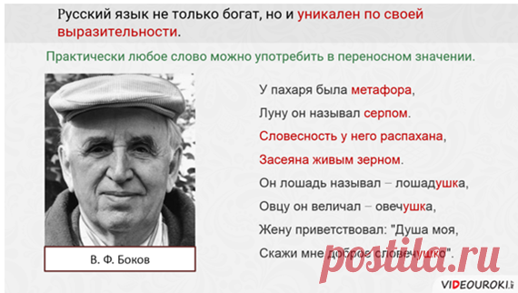 Видеоурок "Русский язык – первоэлемент великой русской литературы" | Русский язык