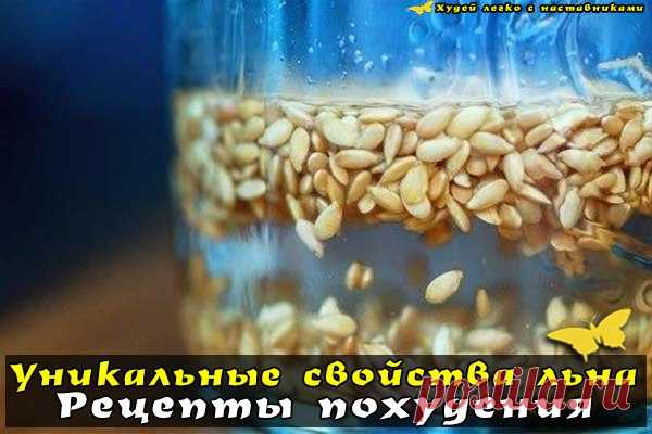 Худей легко с наставниками
