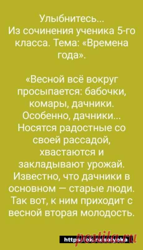 юмор позитив картинки ботинки