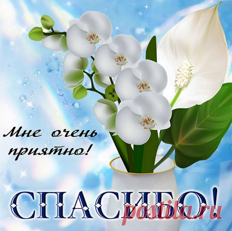 Мне очень приятно! Спасибо!