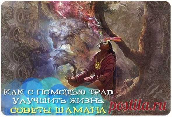 КАК С ПОМОЩЬЮ ТРАВ УЛУЧШИТЬ СОБСТВЕННУЮ ЖИЗНЬ. СОВЕТЫ ШАМАНА - Эзотерика и самопознание