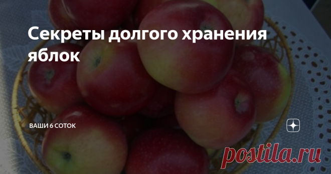 Секреты долгого хранения яблок Многие яблоки сохраняются осенью и зимой не очень долго. Как сохранить урожай.
У меня же плоды лежат в прохладном помещении 6 месяцев. Для этого я их обрабатываю специальным раствором.
Развожу 2 чайные ложки картофельного крахмала в стакане холодной воды, добавляю 8–10 капель йода и щепотку соли (2,5 г).
Яблоки окунаю в раствор и высушиваю.