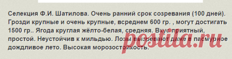 Сорта винограда очень раннего срока созревания. | О винограде