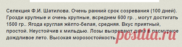 Сорта винограда очень раннего срока созревания. | О винограде