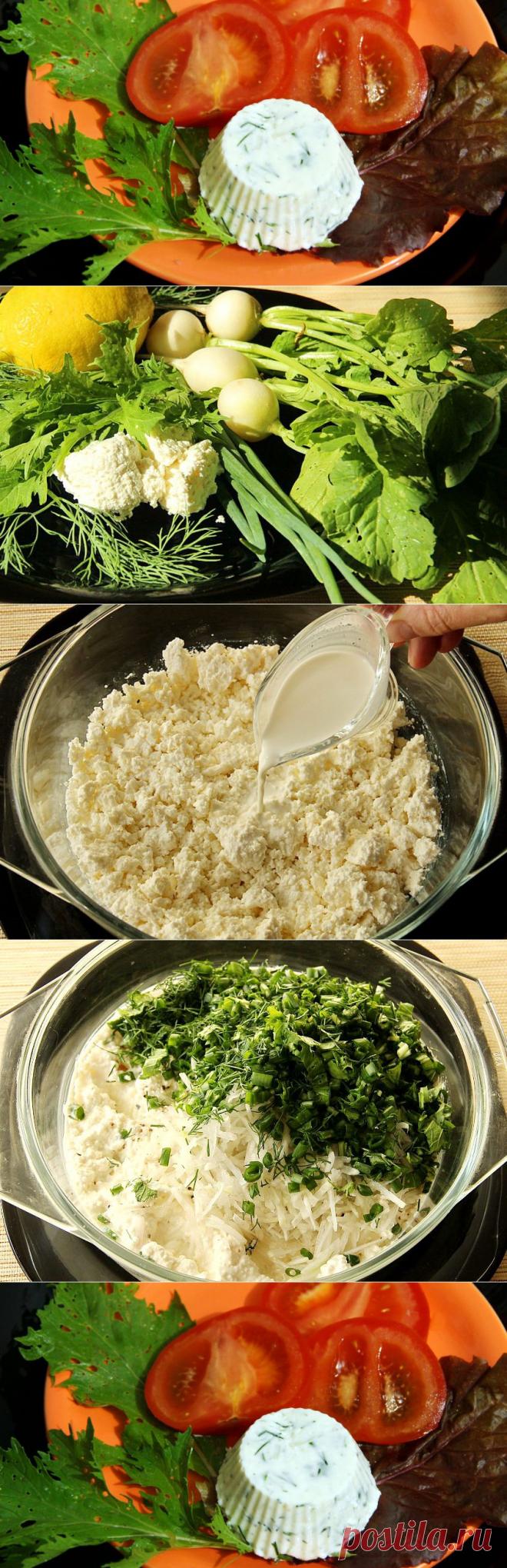 Как приготовить летнюю закуску из творога с редисом и травами
