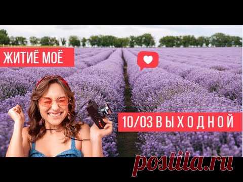 #ЖитиёМоё 10/03 В Ы Х О Д Н О Й СНЕГА МЫ В ЭТОМ ГОДУ НЕ ВИДЕЛИ