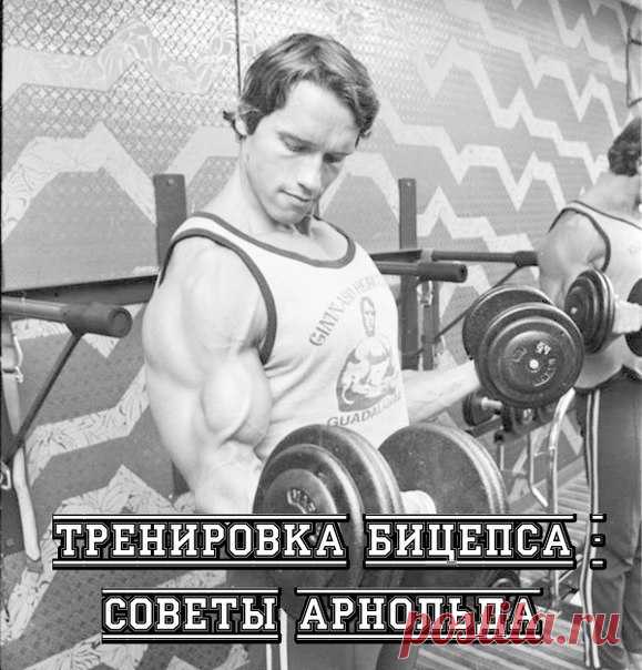 Больше, чем СПОРТ — бодибилдинг / бои / ЗОЖ