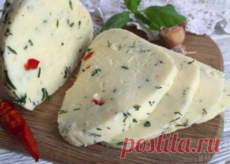 Вкуснейший Адыгейский сыр в домашних условиях - Вкусные рецепты - медиаплатформа МирТесен