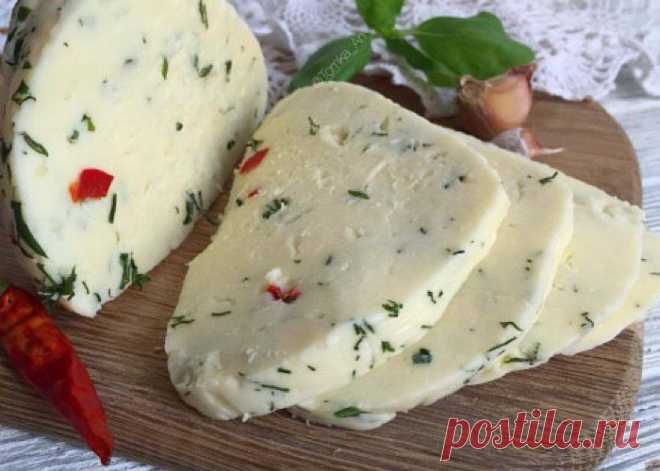 Вкуснейший Адыгейский сыр в домашних условиях - Вкусные рецепты - медиаплатформа МирТесен