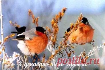 3 декабря, в день памяти святителя Прокла, архиепископа Константинопольского (день тезоименитства митрополита Прокла (Хазова), в Ульяновске прошла панихида по приснопоминаемому Симбирскому архипастырю. Открытки на День Прокла.