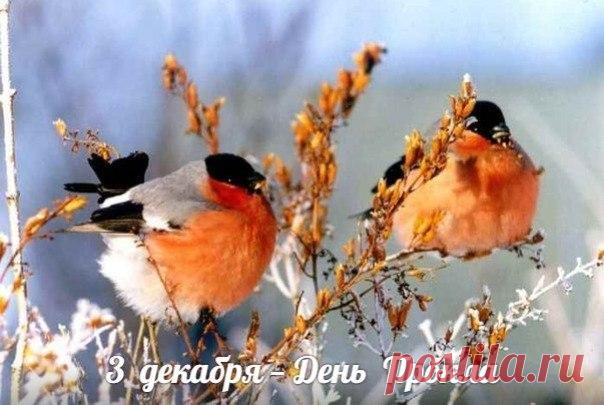 3 декабря, в день памяти святителя Прокла, архиепископа Константинопольского (день тезоименитства митрополита Прокла (Хазова), в Ульяновске прошла панихида по приснопоминаемому Симбирскому архипастырю. Открытки на День Прокла.