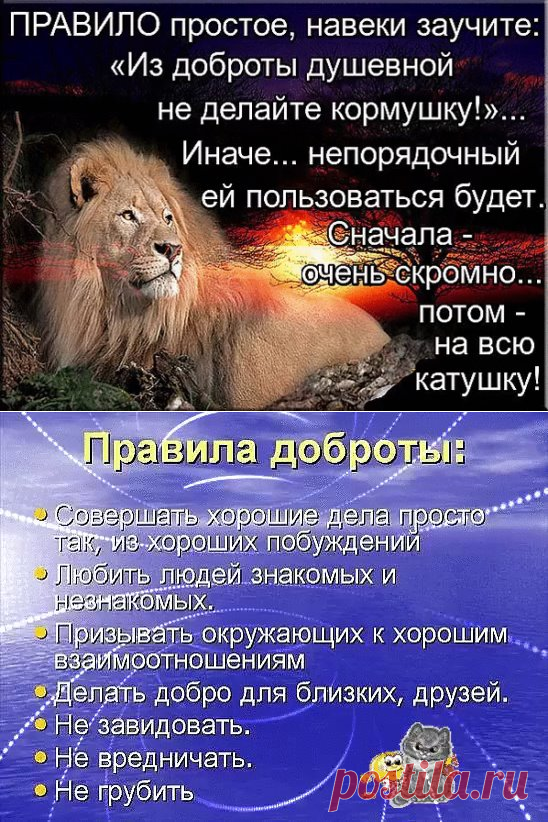 (1) Одноклассники