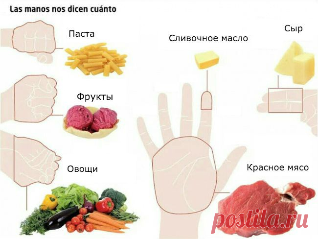 Объясняем на пальцах: Сколько еды нужно съедать каждый день